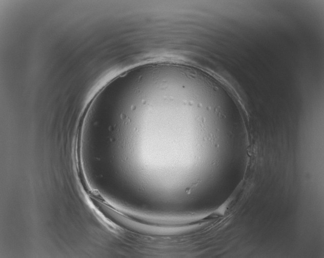 X0000078281391200611031157