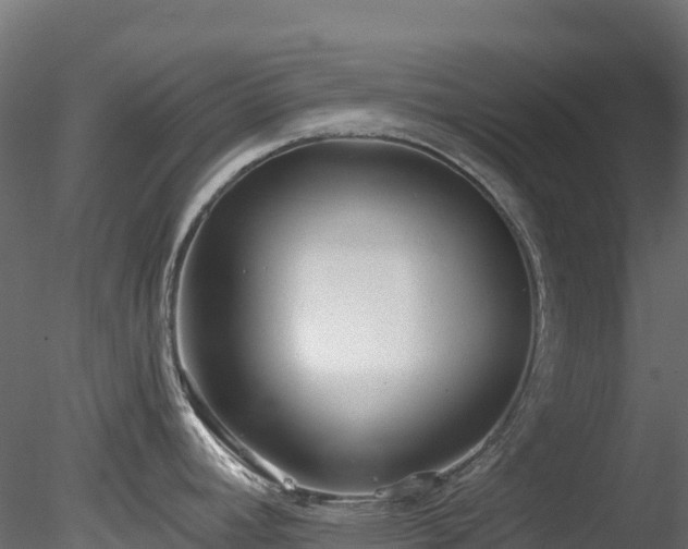 X0000078281392200611031157