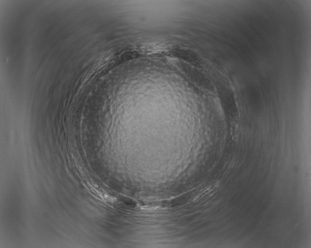 X0000078281393200611031156