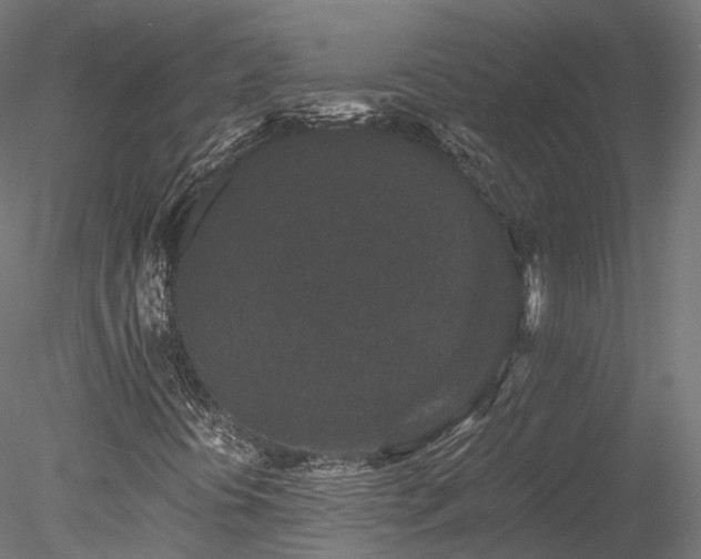 X0000078281394200611031156