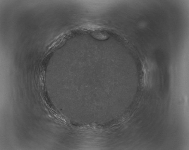 X0000078281397200611031156