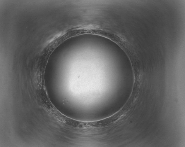 X0000078281398200611031156