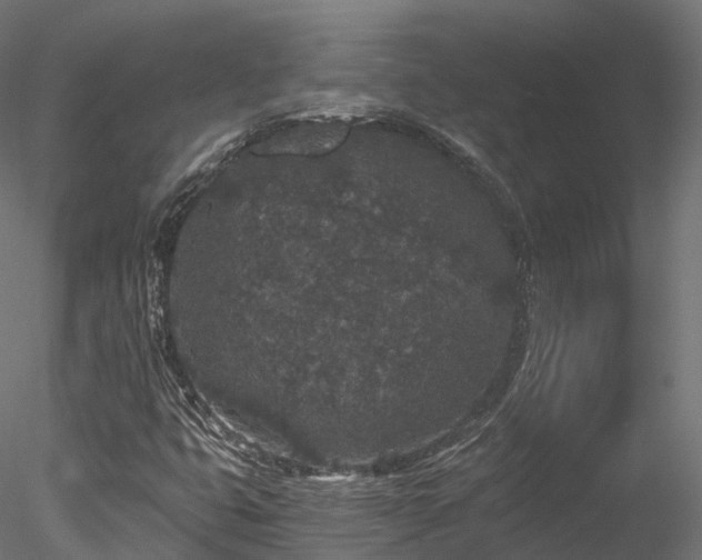 X0000078281399200611031156