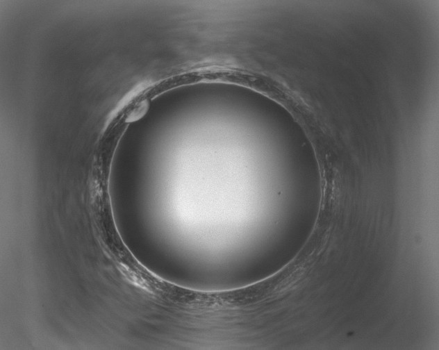 X0000078281400200611031156