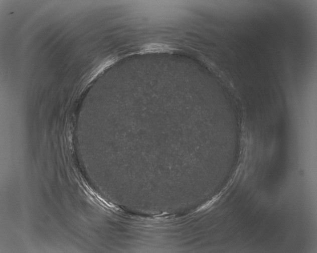 X0000078281401200611031156