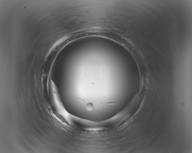 X0000078281402200611031156