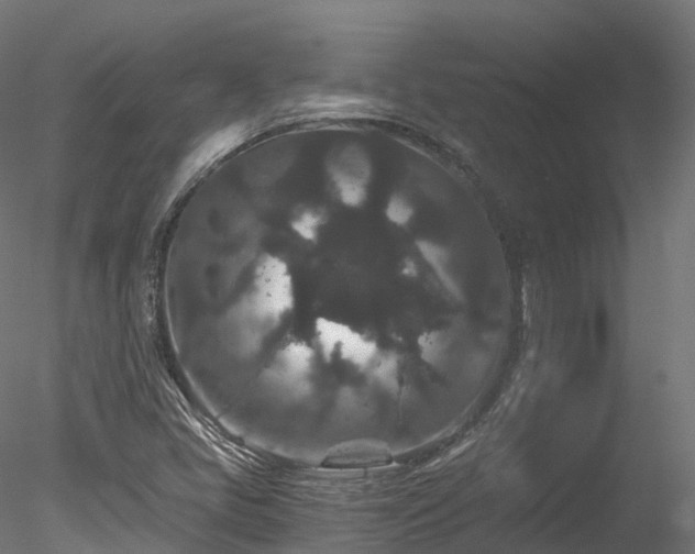 X0000078281405200611031156