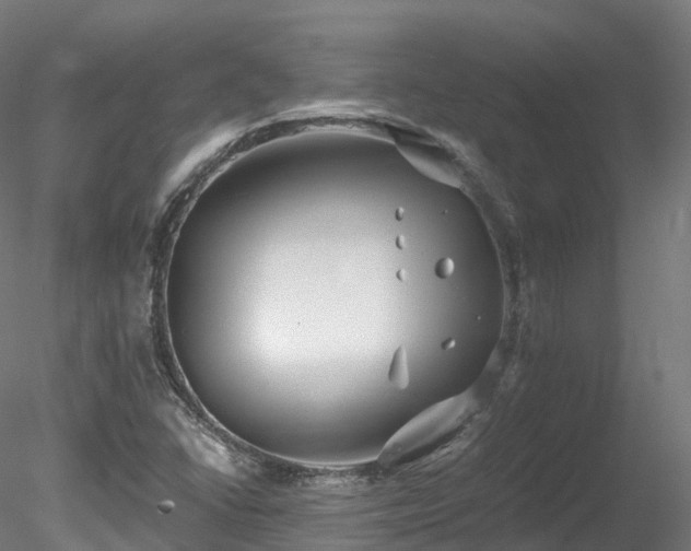 X0000078281406200611031156