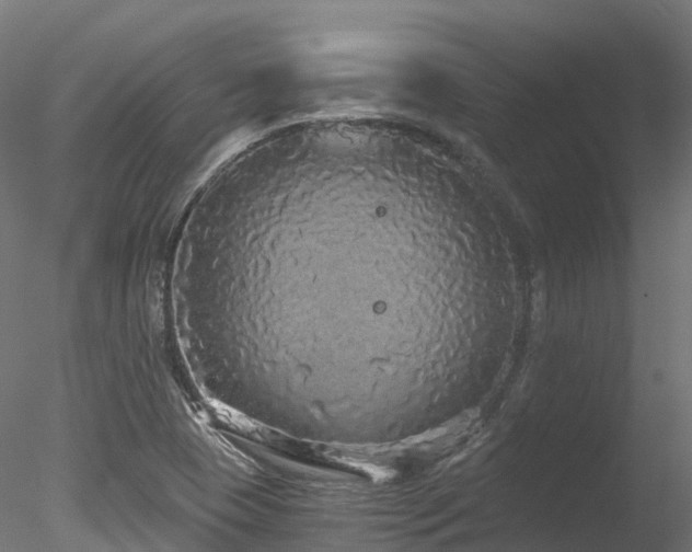 X0000078281409200611031156