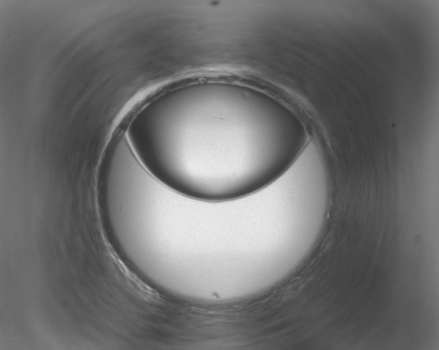 X0000078281412200611031156