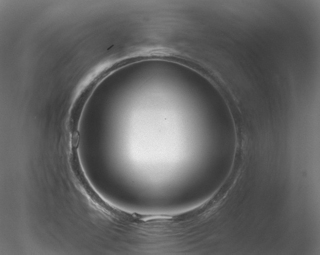 X0000078281414200611031156