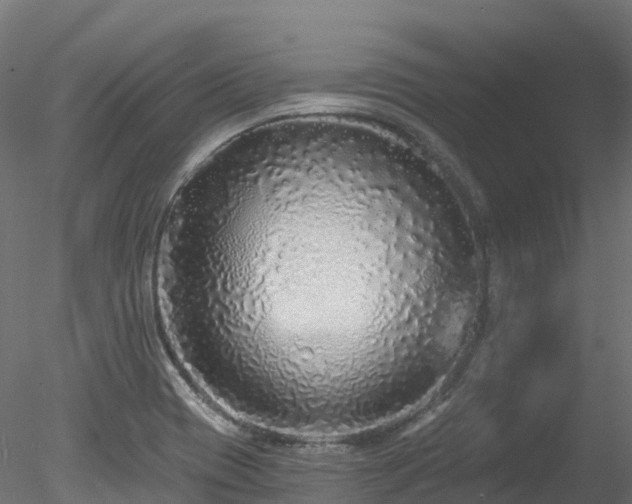 X0000078281417200611031156