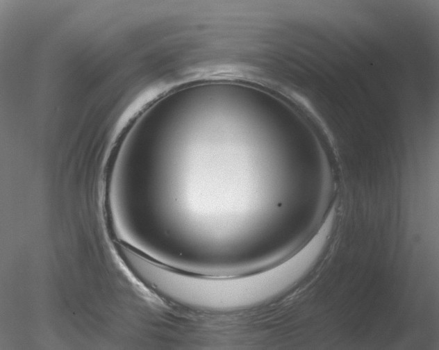 X0000078281424200611031156