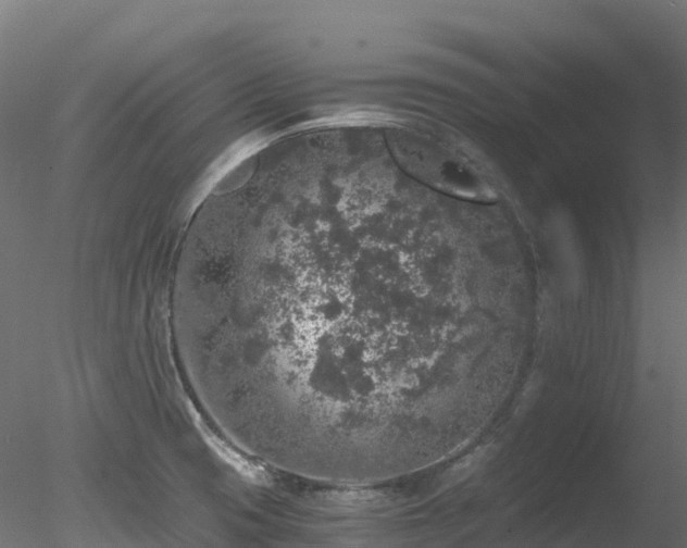 X0000078281425200611031157