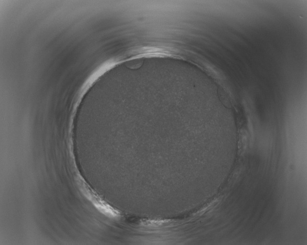 X0000078281427200611031157