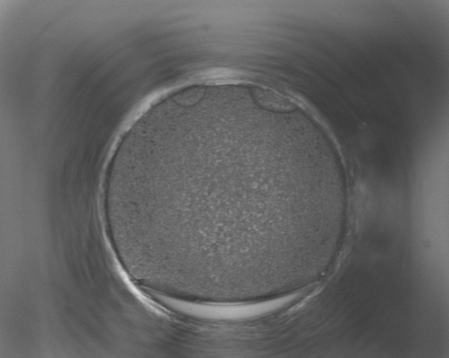 X0000078281429200611031157