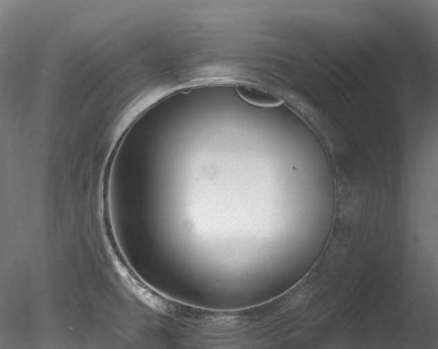 X0000078281431200611031157