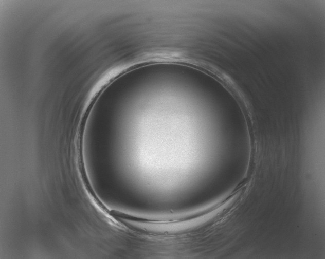 X0000078281432200611031157