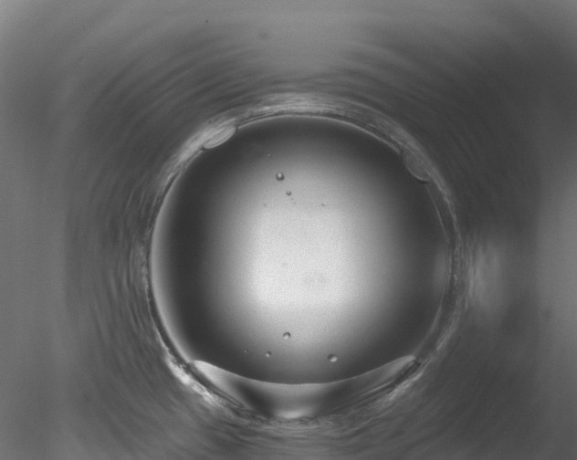 X0000078281433200611031157