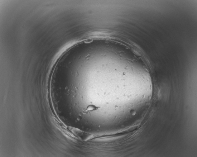 X0000078281435200611031157