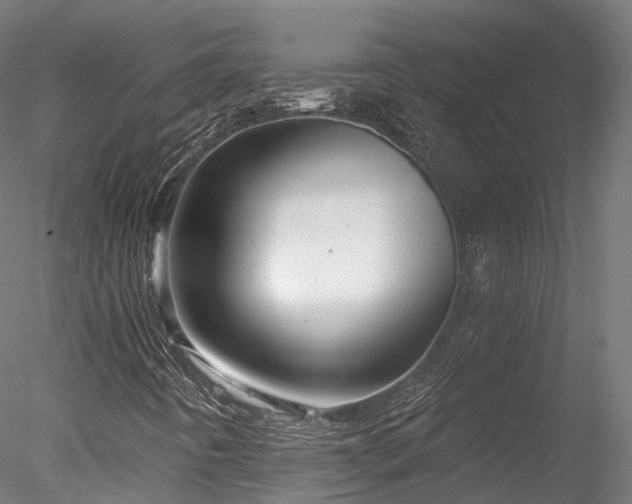 X0000078281442200611031156