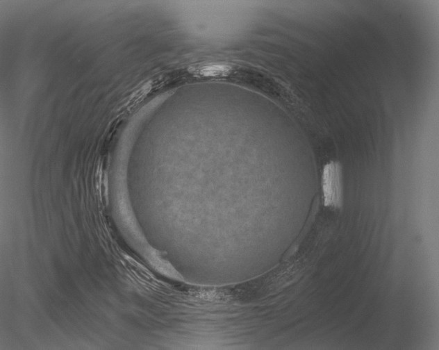 X0000078281443200611031156