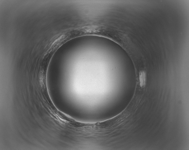 X0000078281444200611031156