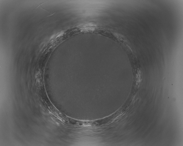 X0000078281445200611031156