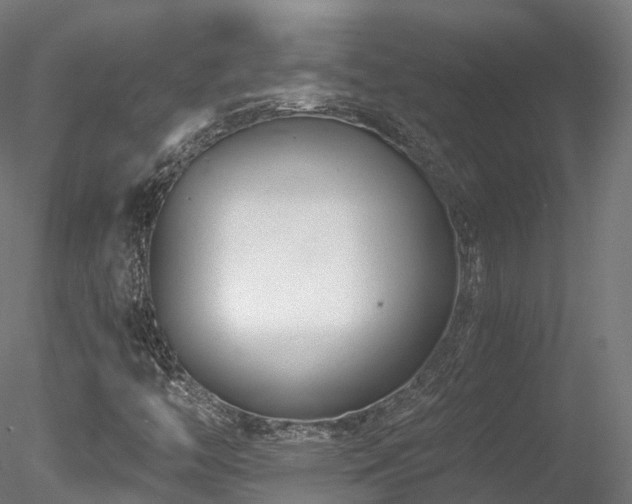 X0000078281446200611031156