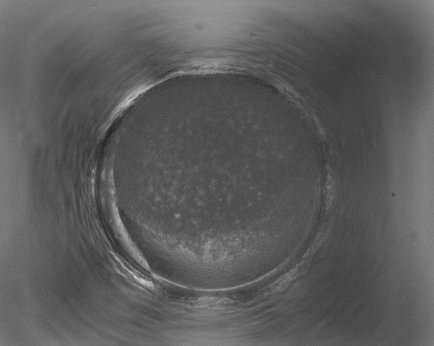 X0000078281449200611031156