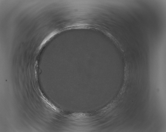 X0000078281450200611031156