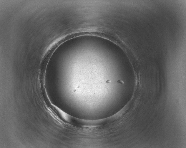 X0000078281452200611031156