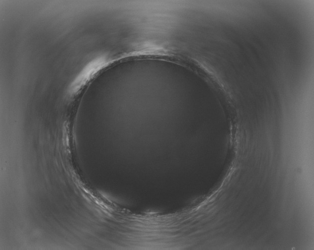 X0000078281455200611031156