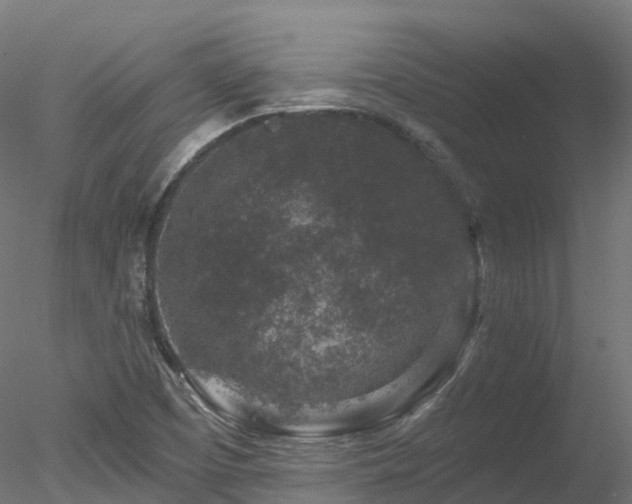 X0000078281457200611031156