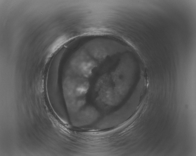 X0000078281459200611031156