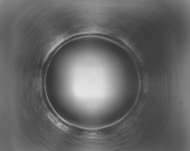 X0000078281460200611031156