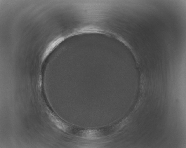 X0000078281461200611031156