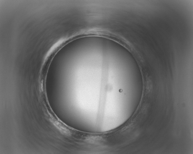 X0000078281462200611031156