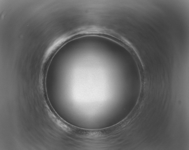 X0000078281464200611031156