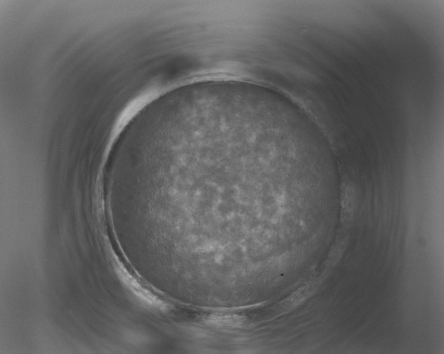 X0000078281466200611031156