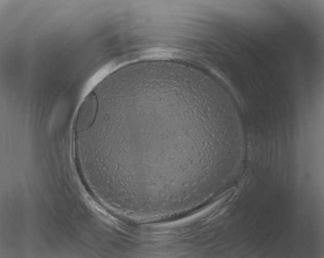 X0000078281467200611031156