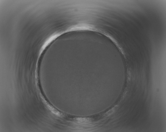 X0000078281469200611031155