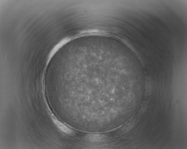 X0000078281474200611031155