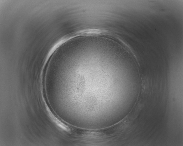 X0000078281475200611031155