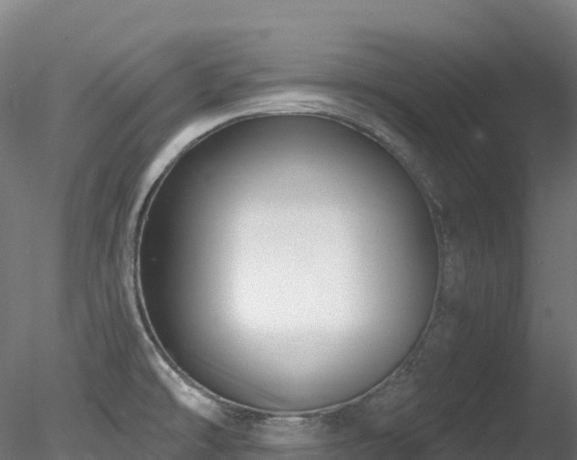 X0000078281478200611031155