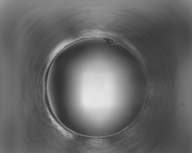 X0000078281479200611031155