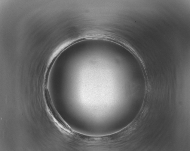 X0000078281485200611031155