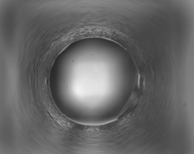 X0000078281489200611031154