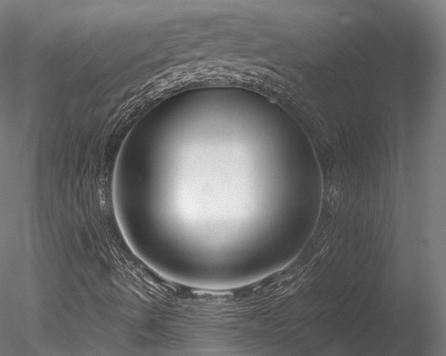 X0000078281490200611031154