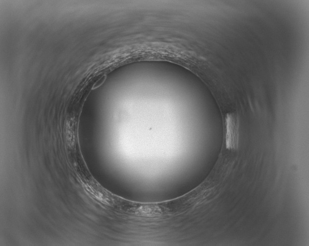 X0000078281491200611031154